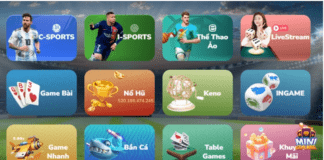 bookmaker