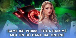 PUB88