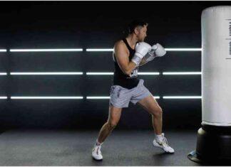 Boxers