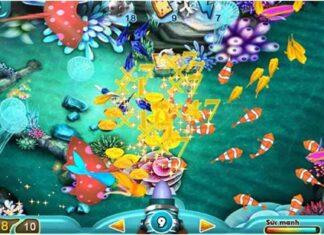 Golden Coin Fish 777